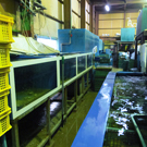 ケーシー食品株式会社