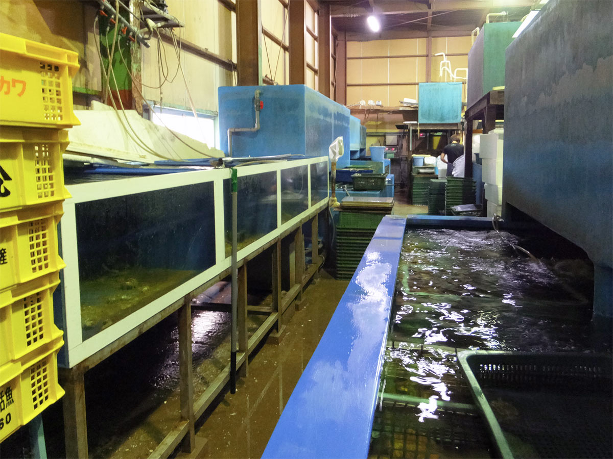 ケーシー食品株式会社1