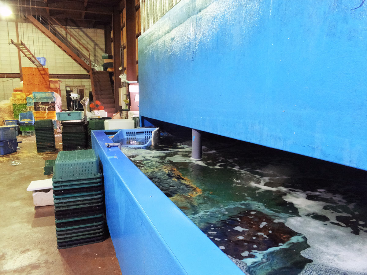 ケーシー食品株式会社2