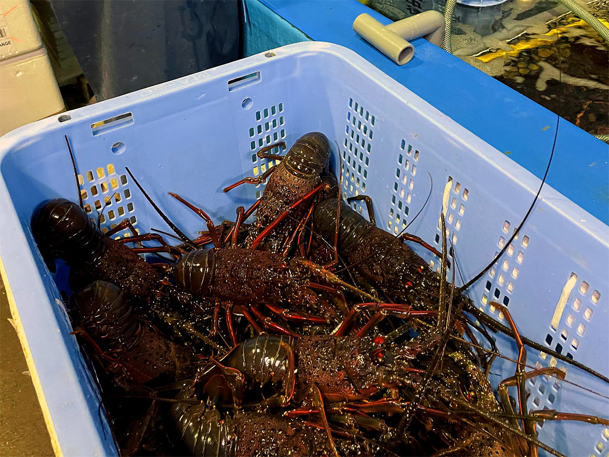 ケーシー食品株式会社6